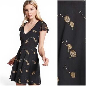 Forever 21 Dandelion Black Dress - Size Small
